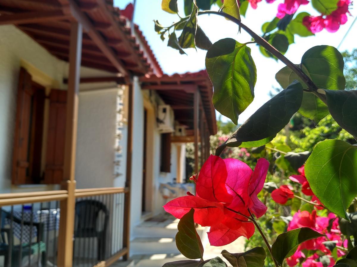Kyriaki Hotel Skopelos Town Exterior photo