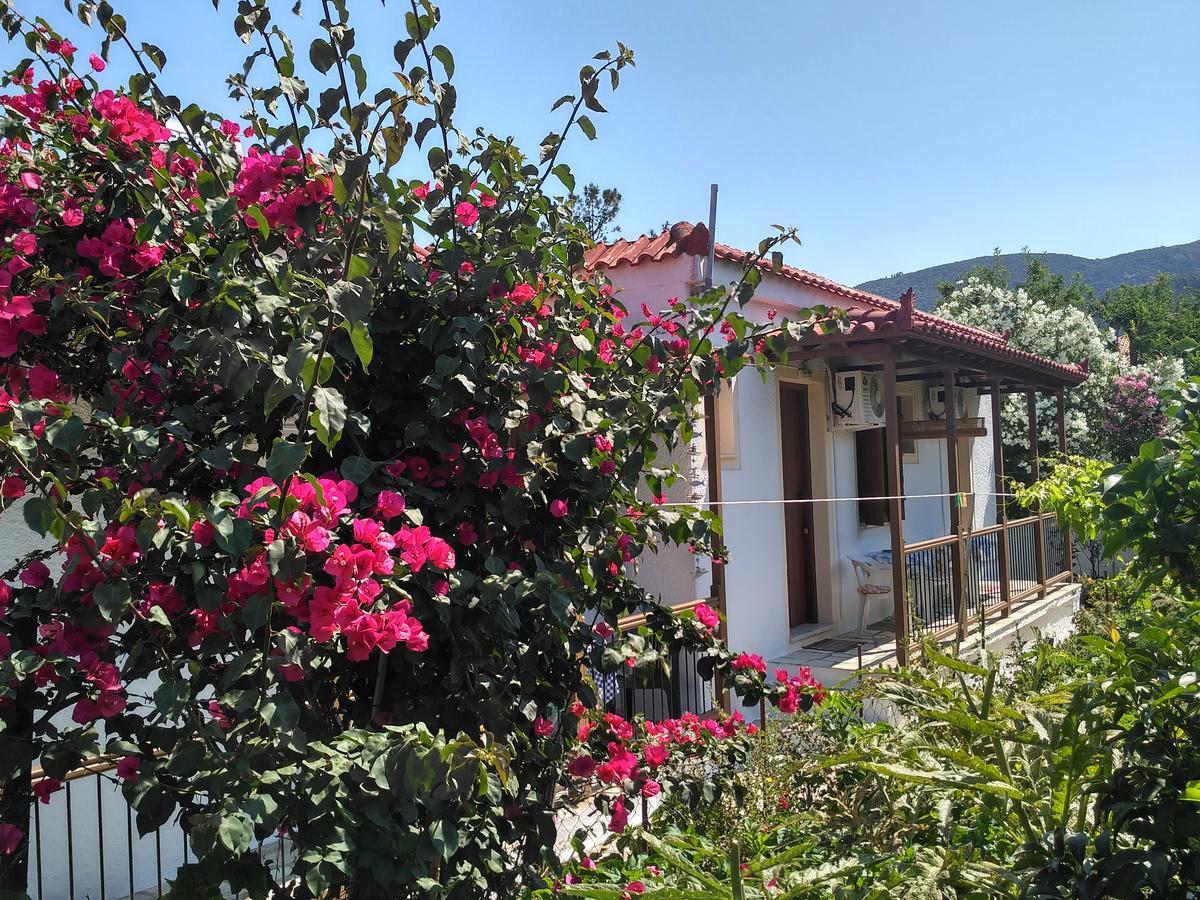 Kyriaki Hotel Skopelos Town Exterior photo