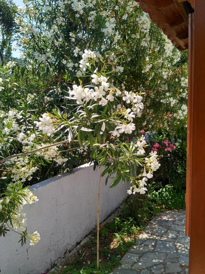 Kyriaki Hotel Skopelos Town Exterior photo