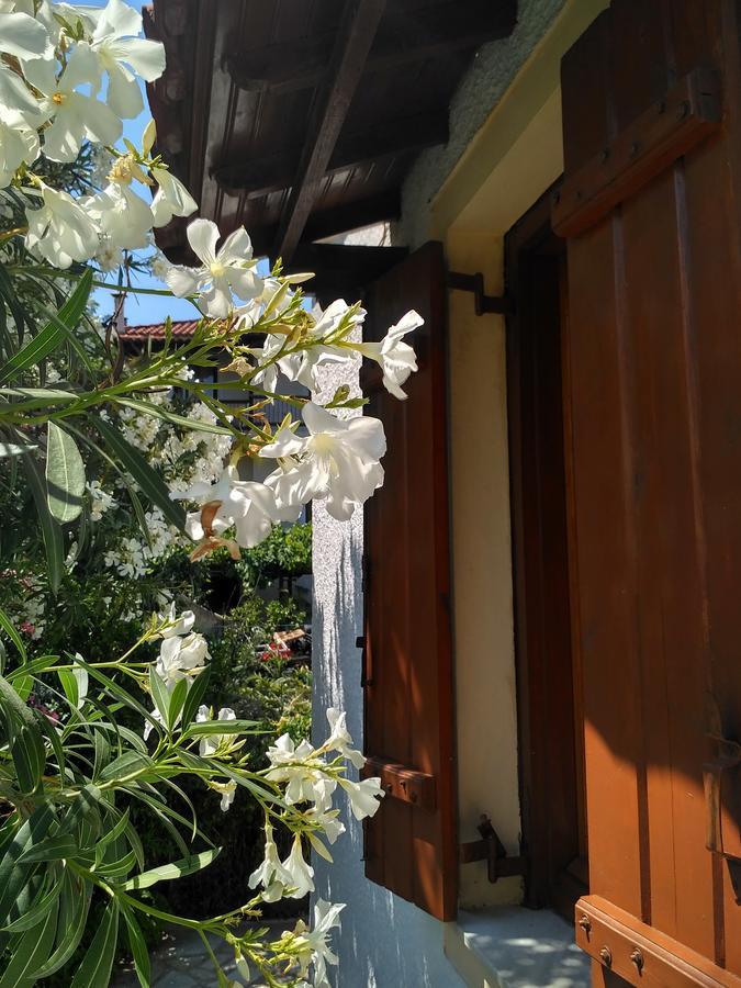 Kyriaki Hotel Skopelos Town Exterior photo